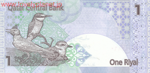 紙幣・貨幣カタール
